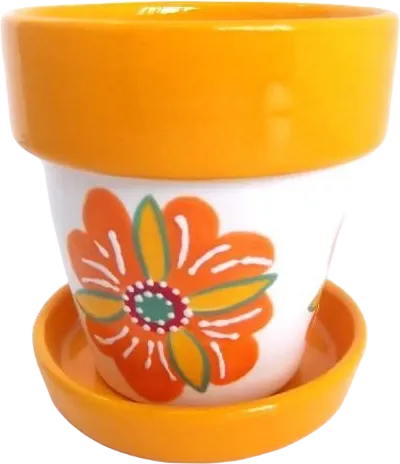 Small Flower Pot with Saucer