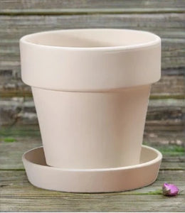 Medium Flower Pot with Saucer