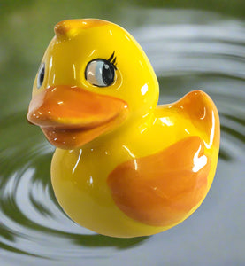 Painted SINGLE colour Duck
