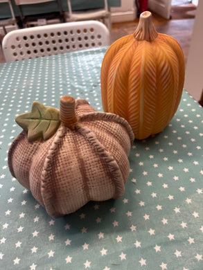 Textured Pumpkin workshop evening 7pm-9pm Thursday 9th October 2025