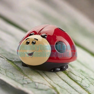 The Funky Teapot Paint your own Pottery in the shape of a Cute Ladybird